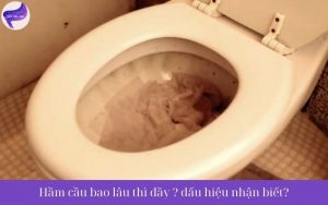 Hầm cầu bao lâu thì đầy dấu hiệu nhận biết?