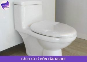 cách xử lý bồn cầu nghẹt