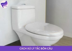 cách xử lý tắc bồn cầu