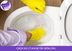 bồn cầu bị tắc giấy