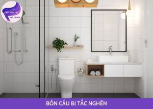 bồn cầu bị tắc nghẽn