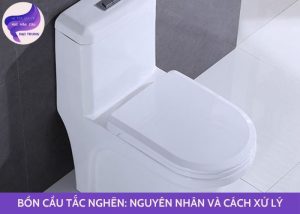 bồn cầu tắc nghẽn