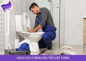 bồn cầu tắc vật cứng