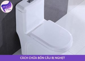 cách chữa bồn cầu bị nghẹt