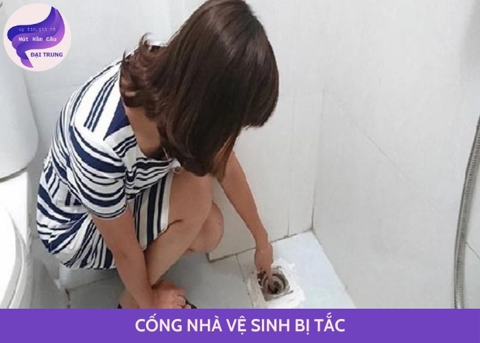 cống nhà vệ sinh bị tắc