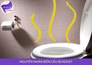 nguyên nhân bồn cầu bị nghẹt