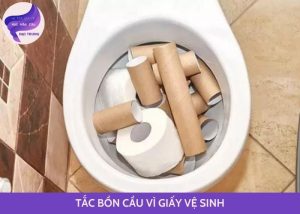 tắc bồn cầu vì giấy vệ sinh