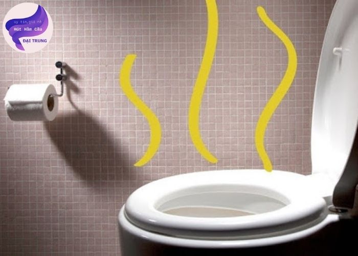 toilet bị tắc