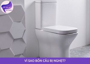 vì sao bồn cầu bị nghẹt