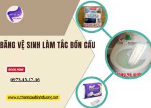 băng vệ sinh làm tắc bồn cầu