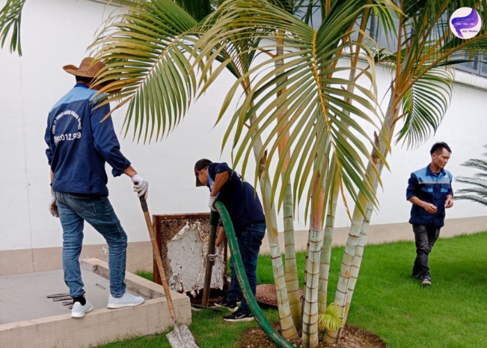 Dịch vụ hút hầm cầu quận Gò Vấp (3) Dịch vụ hút hầm cầu quận Gò Vấp (3)