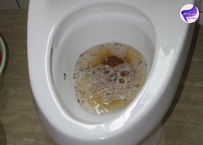 Cách thông bồn cầu bằng bột thông tắc (2)