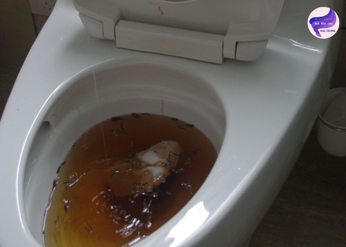 Cách thông bồn cầu bị nghẹt cứng
