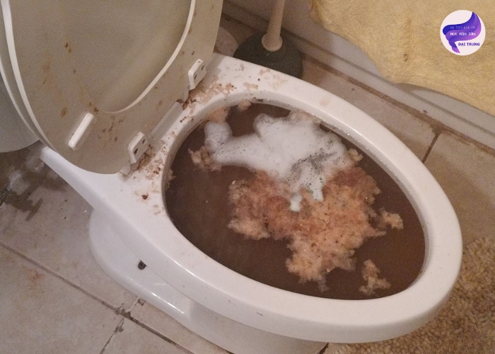 Cách thông bồn cầu bị nghẹt lâu ngày