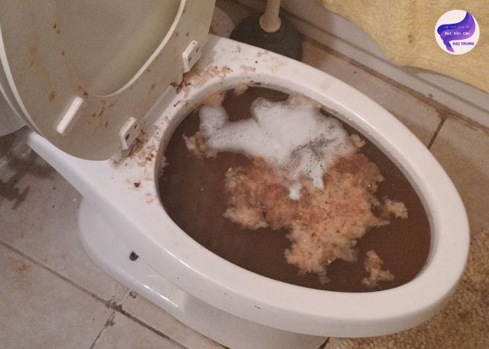 Cách thông bồn cầu đơn giản Cách thông bồn cầu đơn giản