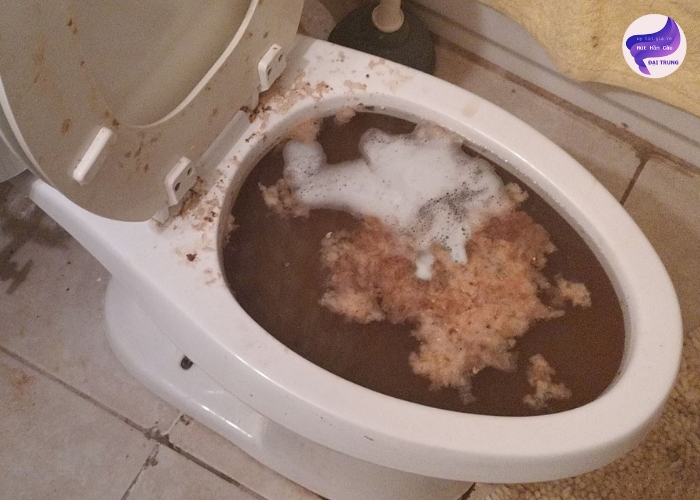 Cách thông bồn cầu hiệu quả nhất Cách thông bồn cầu hiệu quả nhất