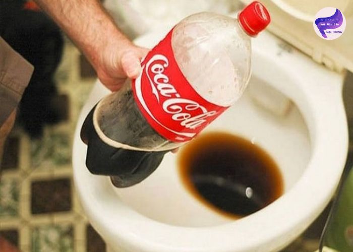 Cách thông tắc bồn cầu bằng coca (4)