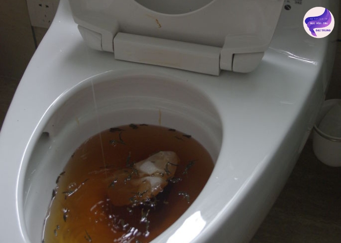 Mẹo thông bồn cầu bị tắc Mẹo thông bồn cầu bị tắc