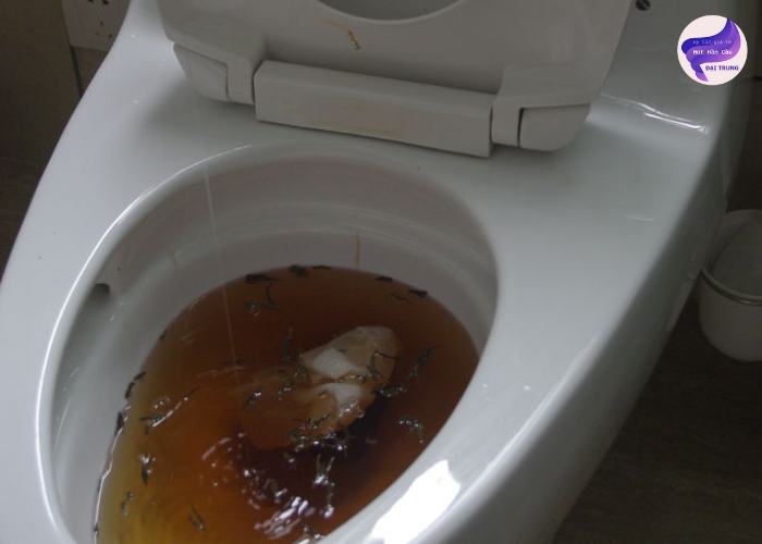 Mẹo thông bồn cầu nhanh