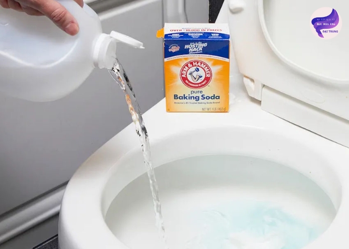 Mẹo thông bồn cầu nhanh (4)