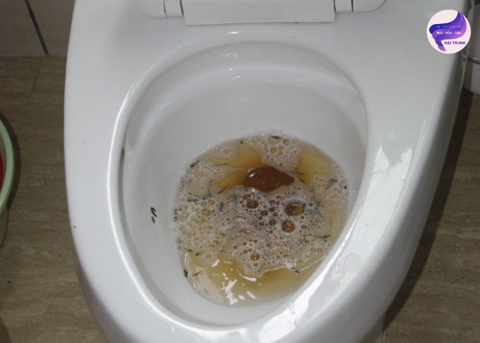 Mẹo thông tắc bồn cầu tại nhà Mẹo thông tắc bồn cầu tại nhà
