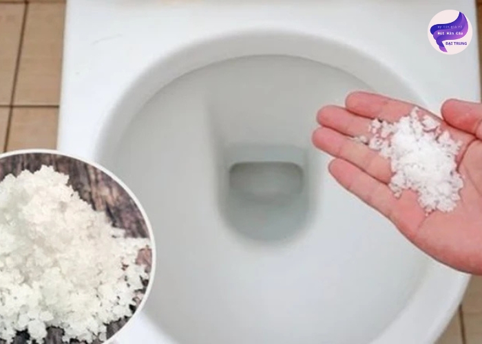 Thông bồn cầu bằng muối (2)