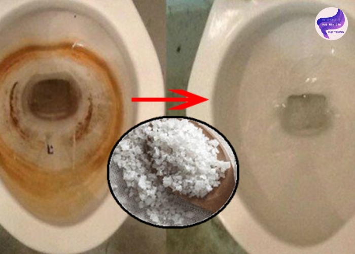 Thông bồn cầu bằng muối (7)