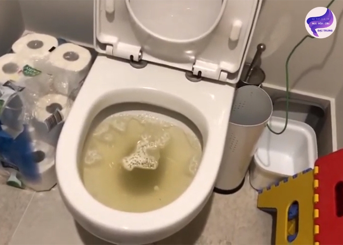 Thông tắc bồn cầu bằng bột thông cống