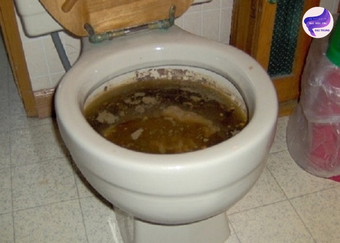 Thông tắc bồn cầu nhanh Thông tắc bồn cầu nhanh