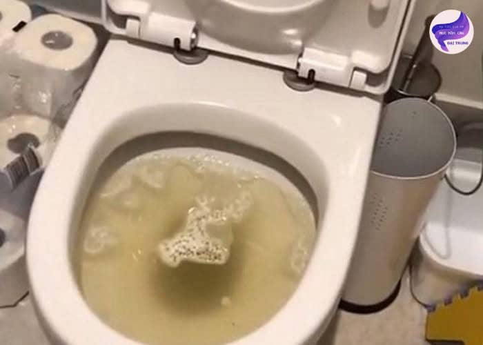 thông bồn cầu bị nghẹt