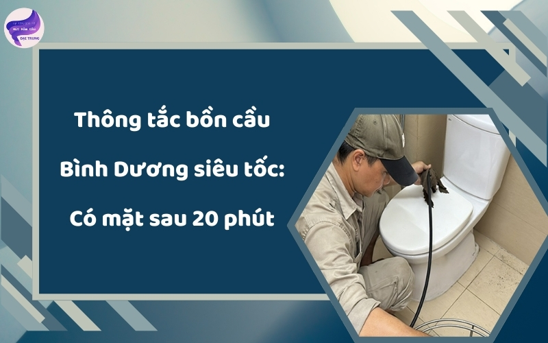 thông tắc bồn cầu bình dương