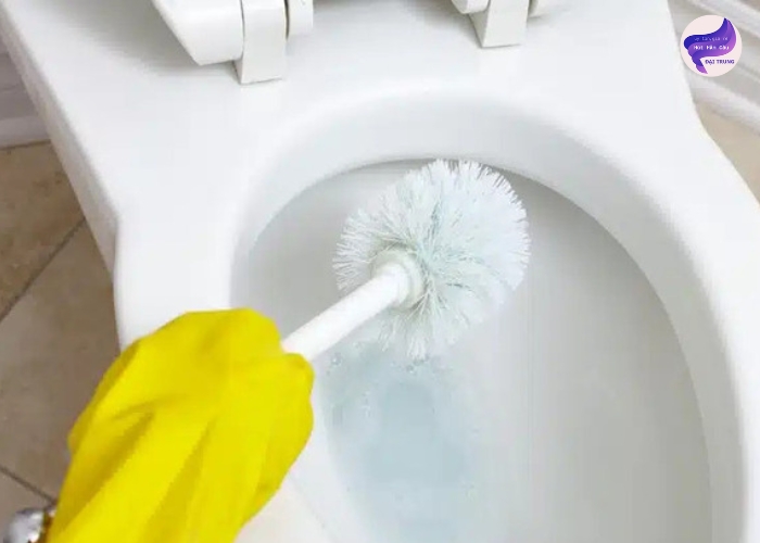 Cách thông bồn cầu bằng chổi (5) Cách thông bồn cầu bằng chổi (5)