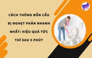 Cách thông bồn cầu bị nghẹt phân