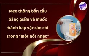 Mẹo thông bồn cầu bằng giấm và muối