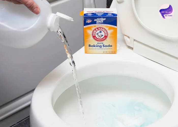 Mẹo thông bồn cầu đơn giản nhất (4)