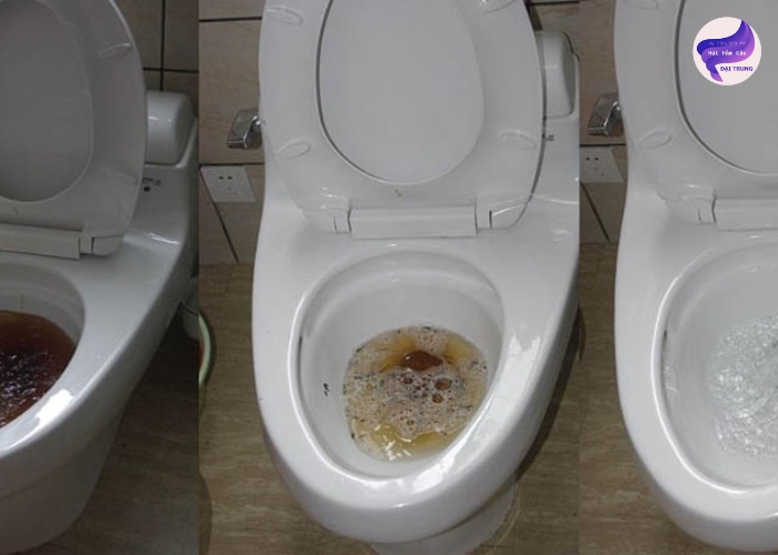 Thông bồn cầu Bà Rịa Vũng Tàu