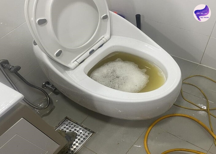 Thông bồn cầu Vĩnh Long