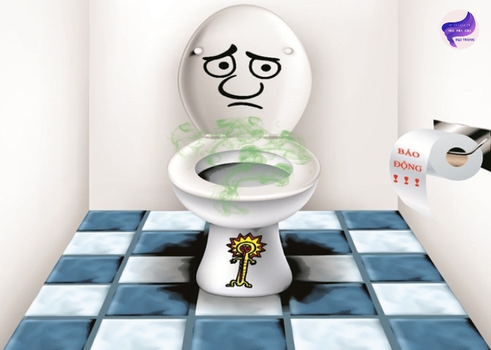 Thông bồn cầu Vĩnh Long (2)