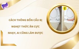 cách thông bồn cầu bị nghẹt thức ăn