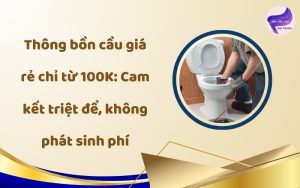 thông bồn cầu giá rẻ