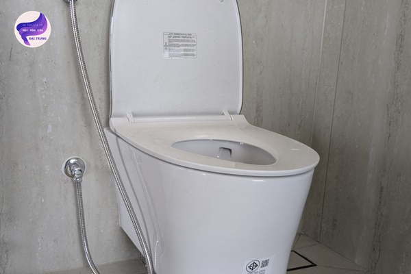 thông bồn cầu bình định (8)