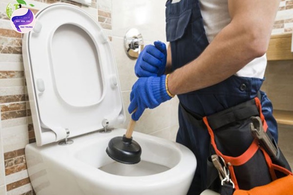 thông bồn cầu quảng nam (1)