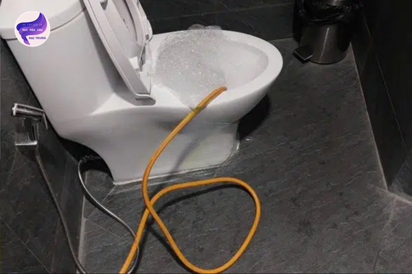 thông bồn cầu quảng nam (1)