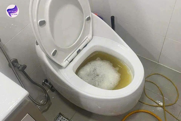 thông tắc bồn cầu khánh hòa (10)