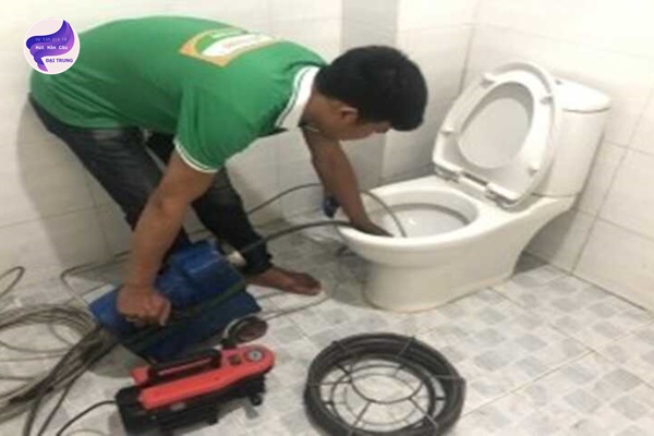 thông bồn cầu lâm đồng (1) thông bồn cầu lâm đồng (1)
