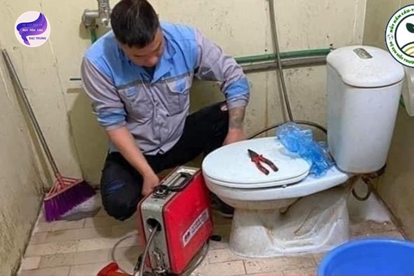 thông bồn cầu lâm đồng (2) thông bồn cầu lâm đồng (2)