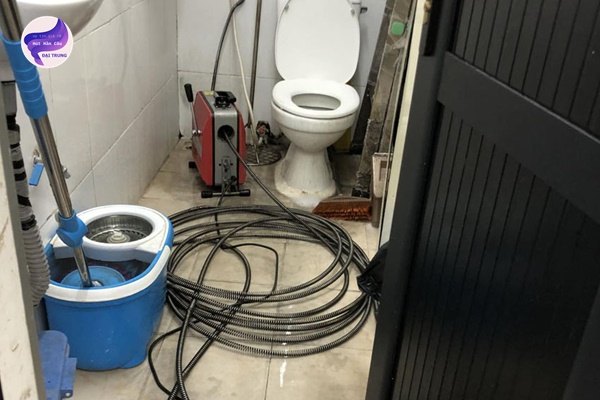 thông bồn cầu lâm đồng (3) thông bồn cầu lâm đồng (3)