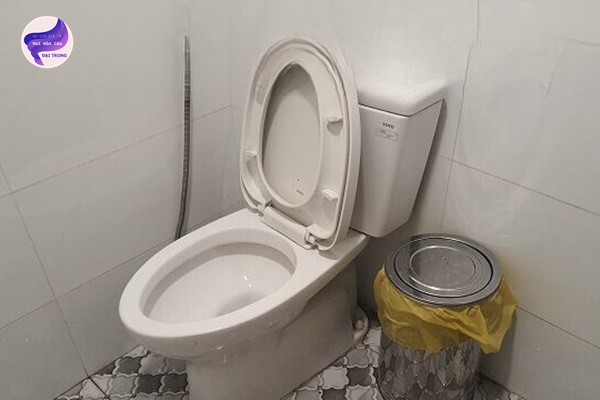 thông bồn cầu lâm đồng (5) thông bồn cầu lâm đồng (5)