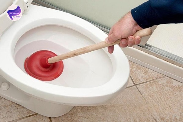 thông bồn cầu lâm đồng (8) thông bồn cầu lâm đồng (8)