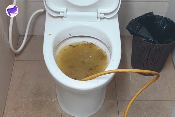 thông tắc bồn cầu gia lai (10)
